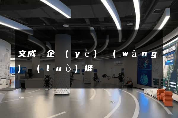 文成縣企業(yè)網(wǎng)絡(luò)推廣