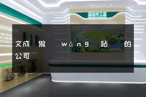 文成縣做網(wǎng)站設計的公司