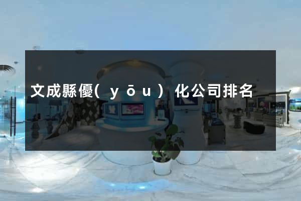 文成縣優(yōu)化公司排名