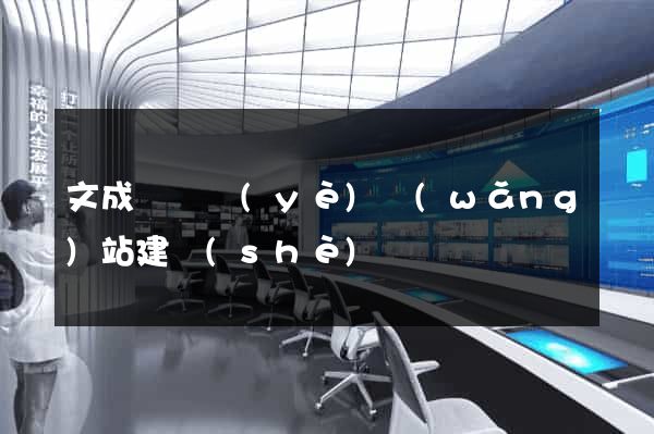 文成縣專業(yè)網(wǎng)站建設(shè)