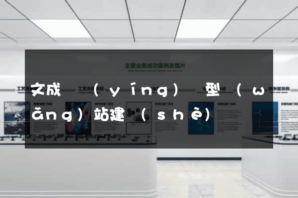 文成縣營(yíng)銷型網(wǎng)站建設(shè)