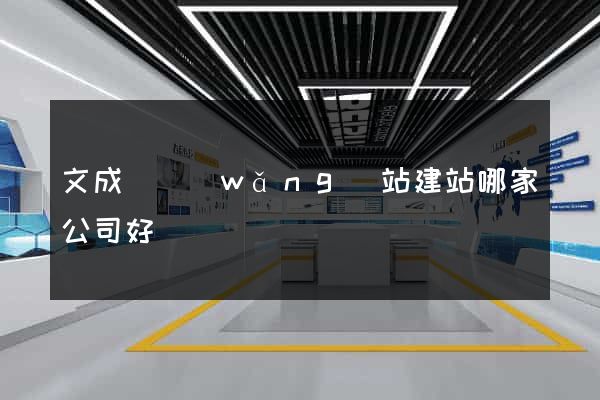 文成縣網(wǎng)站建站哪家公司好