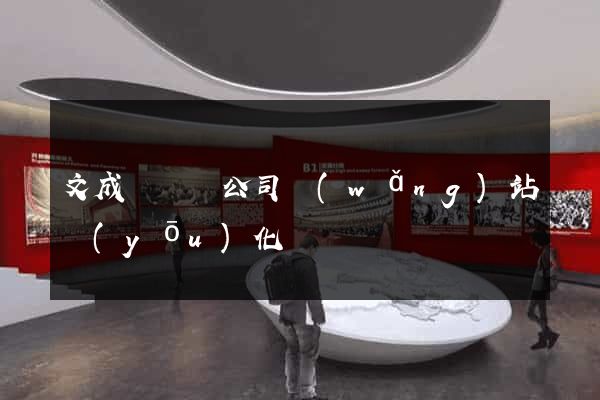 文成縣設計公司網(wǎng)站優(yōu)化