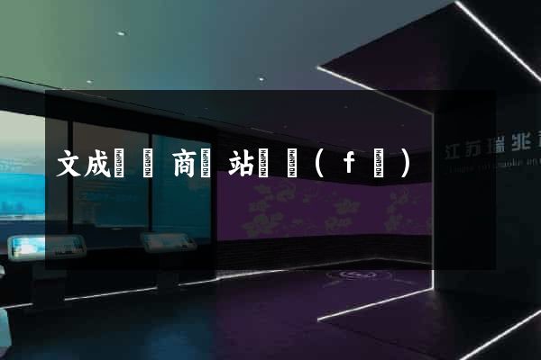 文成縣電商網站開發(fā)