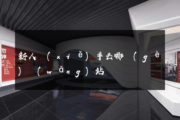 新人寫(xiě)手去哪個(gè)網(wǎng)站