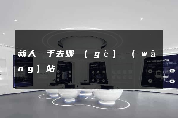 新人寫手去哪個(gè)網(wǎng)站