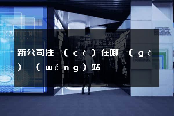 新公司注冊(cè)在哪個(gè)網(wǎng)站