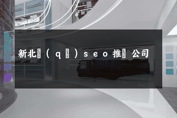 新北區(qū)seo推廣公司