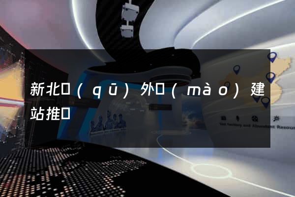 新北區(qū)外貿(mào)建站推廣