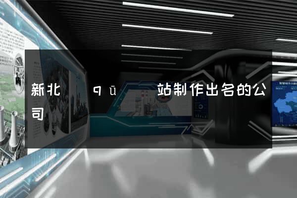 新北區(qū)網站制作出名的公司