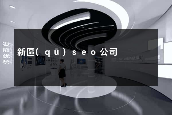 新區(qū)seo公司