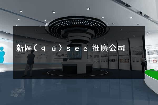 新區(qū)seo推廣公司