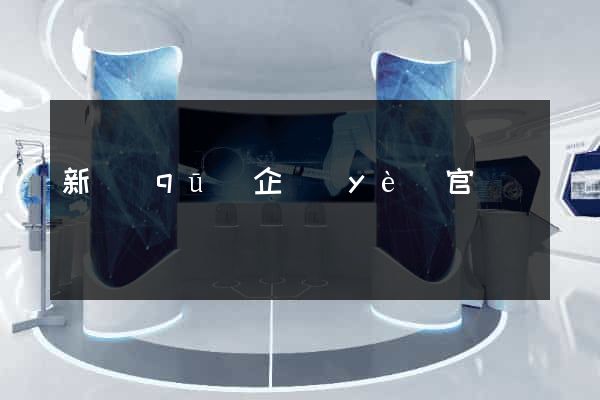 新區(qū)企業(yè)官網設計