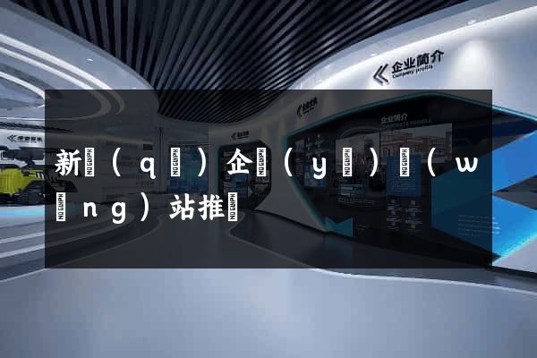 新區(qū)企業(yè)網(wǎng)站推廣