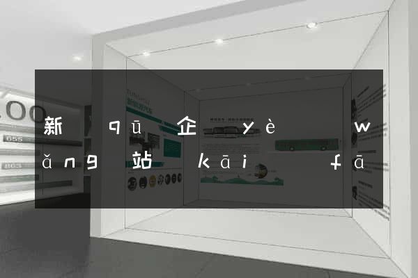 新區(qū)企業(yè)網(wǎng)站開(kāi)發(fā)
