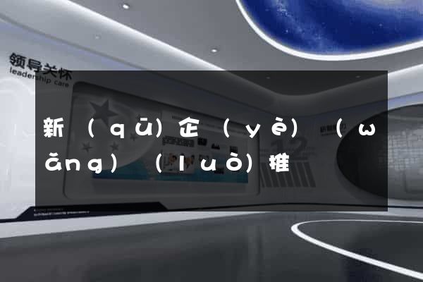 新區(qū)企業(yè)網(wǎng)絡(luò)推廣