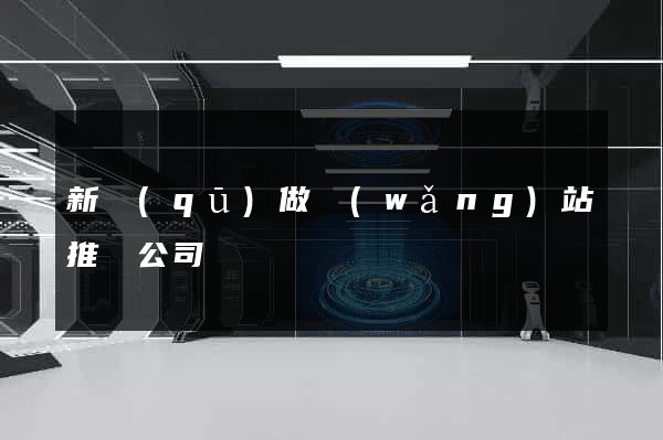 新區(qū)做網(wǎng)站推廣公司
