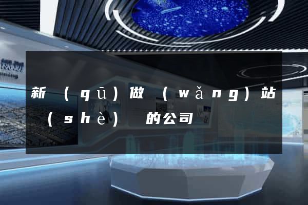 新區(qū)做網(wǎng)站設(shè)計的公司