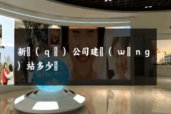 新區(qū)公司建網(wǎng)站多少錢