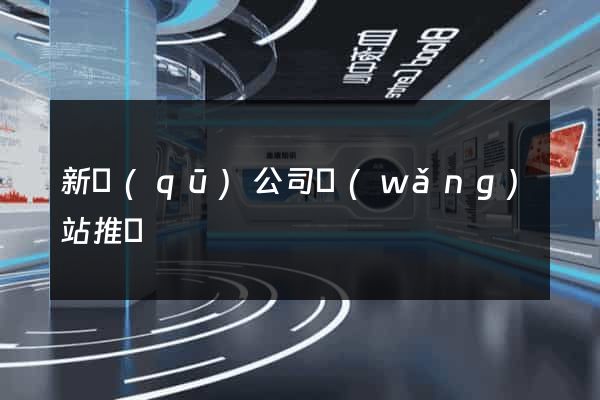 新區(qū)公司網(wǎng)站推廣