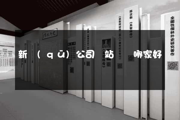 新區(qū)公司網站設計哪家好