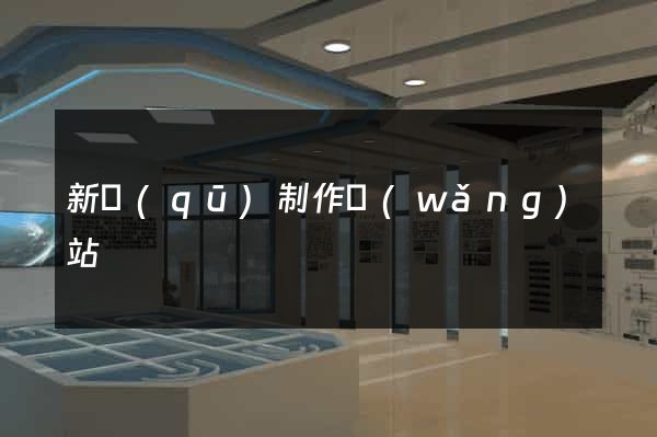 新區(qū)制作網(wǎng)站