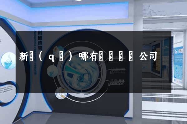 新區(qū)哪有網頁設計公司