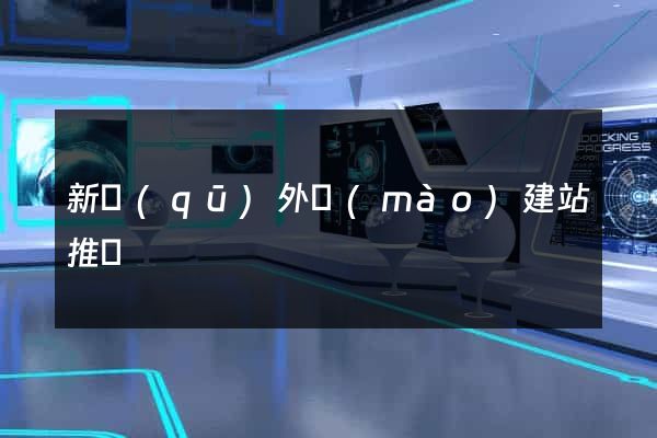 新區(qū)外貿(mào)建站推廣