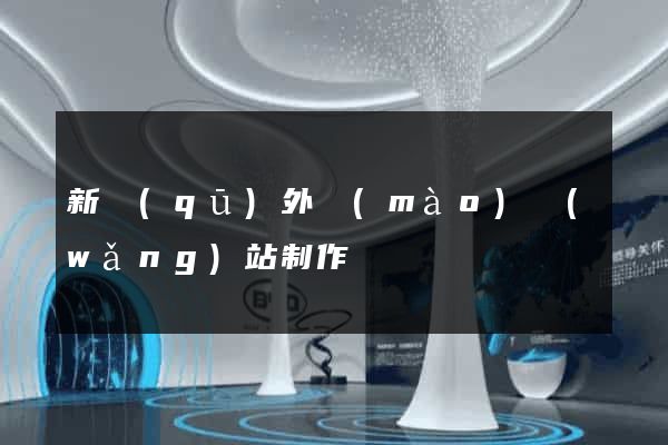 新區(qū)外貿(mào)網(wǎng)站制作