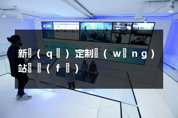 新區(qū)定制網(wǎng)站開發(fā)