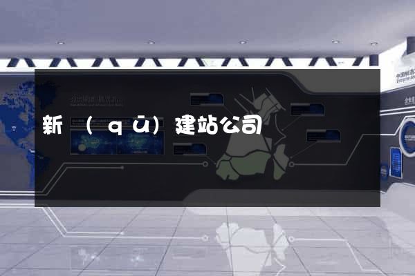 新區(qū)建站公司