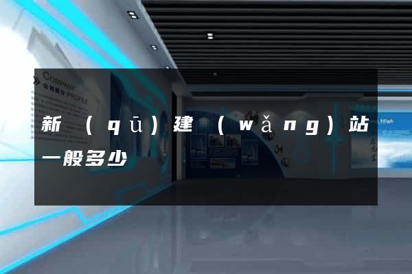 新區(qū)建網(wǎng)站一般多少錢