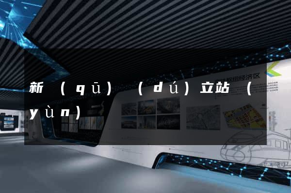 新區(qū)獨(dú)立站運(yùn)營