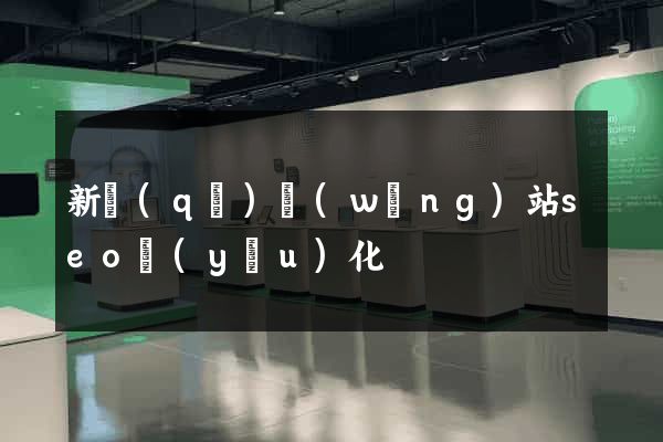 新區(qū)網(wǎng)站seo優(yōu)化