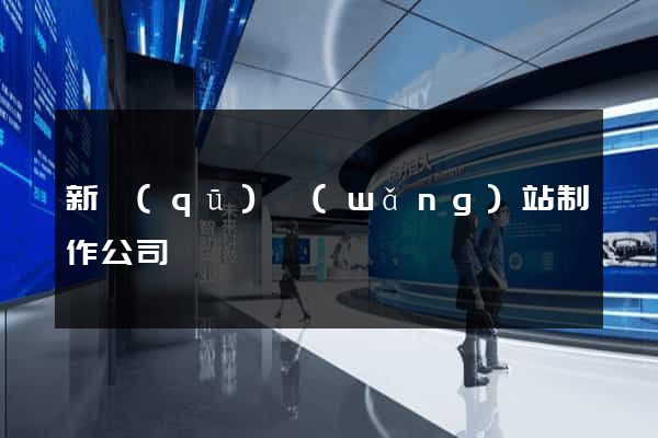 新區(qū)網(wǎng)站制作公司