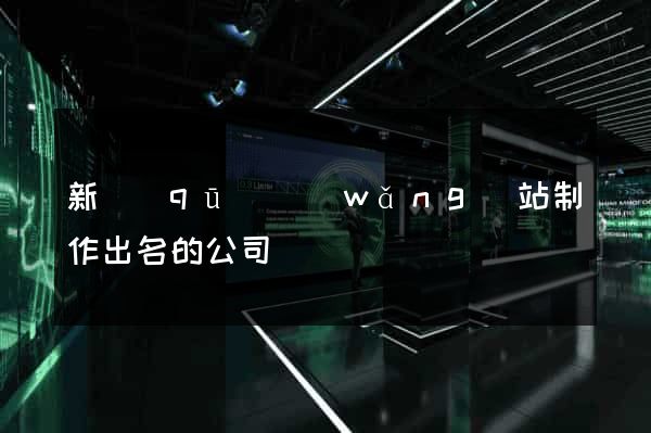 新區(qū)網(wǎng)站制作出名的公司