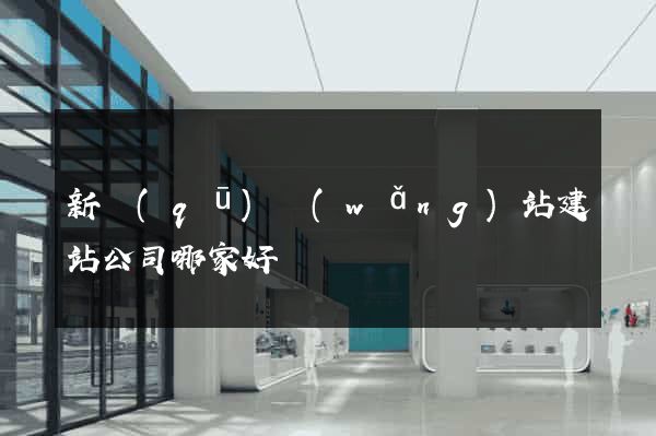新區(qū)網(wǎng)站建站公司哪家好