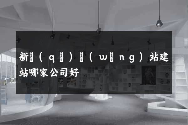 新區(qū)網(wǎng)站建站哪家公司好