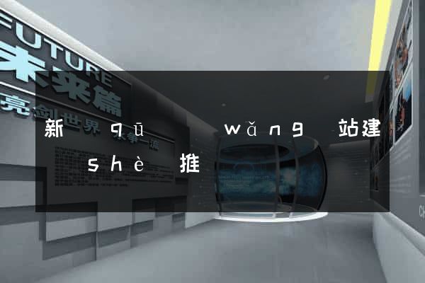 新區(qū)網(wǎng)站建設(shè)推廣