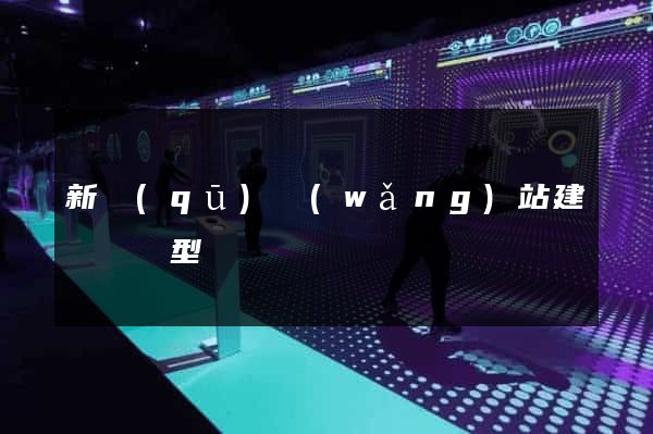 新區(qū)網(wǎng)站建設營銷型