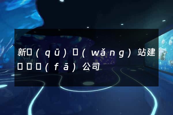 新區(qū)網(wǎng)站建設開發(fā)公司