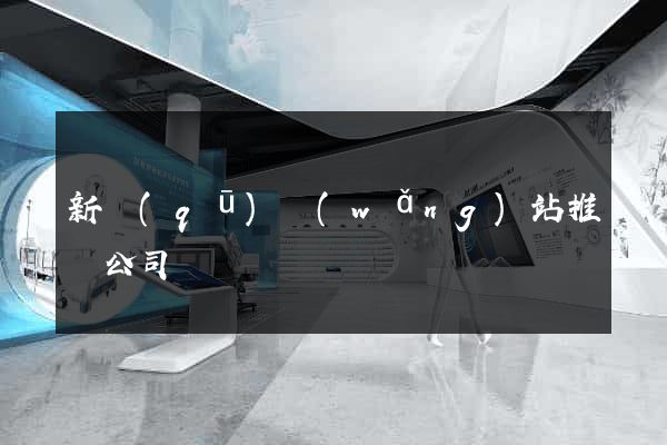 新區(qū)網(wǎng)站推廣公司