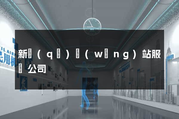 新區(qū)網(wǎng)站服務公司