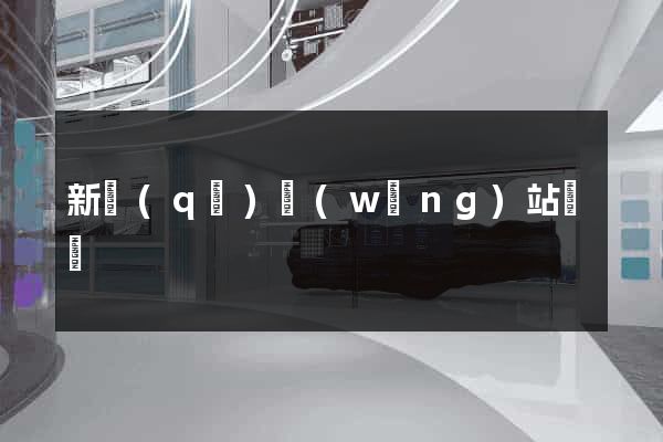 新區(qū)網(wǎng)站營銷