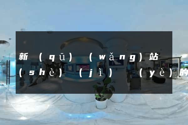 新區(qū)網(wǎng)站設(shè)計(jì)專業(yè)的公司