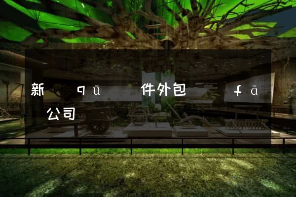 新區(qū)軟件外包開發(fā)公司