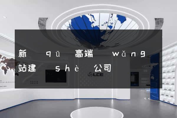 新區(qū)高端網(wǎng)站建設(shè)公司