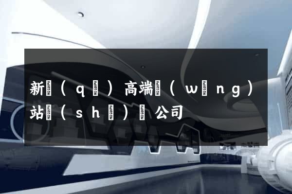 新區(qū)高端網(wǎng)站設(shè)計公司