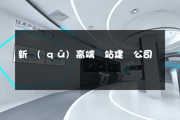 新區(qū)高端網站建設公司