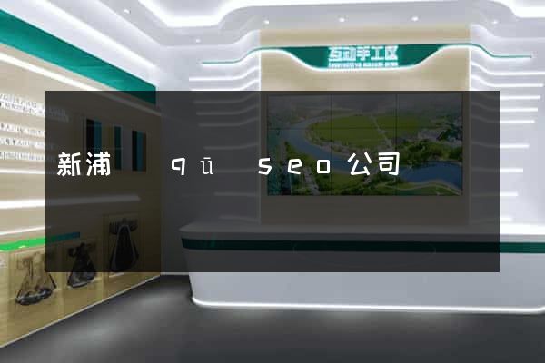 新浦區(qū)seo公司